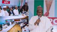 Shuwagabannin APC sun yi fitar farin ɗango zuwa taron majalisar Koli na jam’iyyar