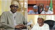 OPC throws weight behind NASS following impeachment threat against Buhari, urges Nigerians to support joint resolutions