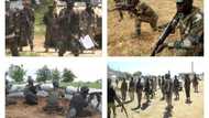 BREAKING: 15 dead as Boko Haram launches 3-hour surprise attack against army