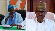 Confusion in Jigawa APC as prominent members defect to Third Force, just days after Buhari’s visit