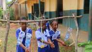 Bridging the gaps in school hygiene through student ambassadors (photos)