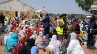 Najeriya na samun adadin haihuwar yara miliyan 7 kowace shekara- UNICEF