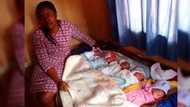 Multiple blessings! Keke napep rider’s wife gives birth to 5 babies in Anambra (photo)