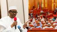 National Assembly cannot summon the president to answer questions - Senior lawyers