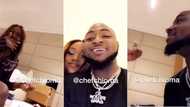 Davido's girlfriend Chioma feeds him after winning big at 2018 Headies (video)