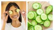 What are the ☑ pros and ☒ cons of eating cucumbers?