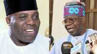 2023: I personally see Bola Tinubu as a formidable opponent - GEJ's Former Aide