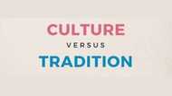 What is the difference between tradition and culture?