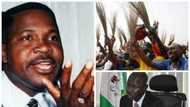 Magu's anti-corruption fight diminished the humanity and respectability of Nigerians - Ozekhome