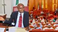 Just in: Battle continues as Senate rushes to Appeal Court over judgement in favour of Omo-Agege