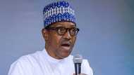 Buhari ya mayar da martani ga mutanen dake ikirarin shi ke sa ayi kashe-kashe