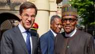 Dutch prime minister Mark Rutte promises to help Nigeria fight insurgency