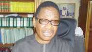 APC attacks Buhari's aide, calls him ‘rogue elephant’