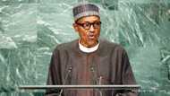 President Buhari to leave Nigeria for New York to address UN General Assembly