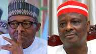 A hakikanin gaskiya ba bu mai son Buhari kamar ni - Kwankwaso