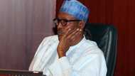 This is what Buhari will do to propaganda – APC