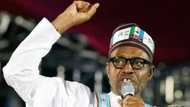 SHOCKER! President Buhari walks out on Ministers