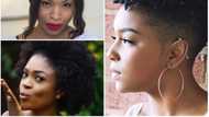 Top 15 natural hairstyles that you can wear every day