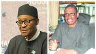 Some stupid Nigerians should realise that Buhari's regime has come to save Nigeria - Sagay