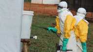 17 killed as deadly Ebola virus returns