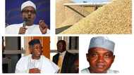 FACT CHECK: Nigeria not second largest rice producer in the world as claimed by presidency (See top 10)