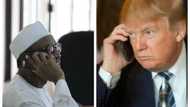 Finally, White House confirms Trump's call to President Buhari