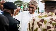 Jos killing: Read what President Buhari told Plateau leaders