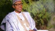 "Buhari Must Name Aso-Rock After MKO Abiola"