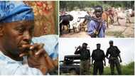 Herdsmen with over 300 cows invade Olu Falae’s farm again, open fire on 15 policemen