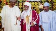 Kisan da akeyi don a kunyatar da gwamnatinka ne – Sarkin Katsina ga Buhari