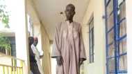 An cafke wani dattijo a Katsina dake yiwa barayin shanu safarar bindigogi