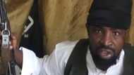 Revealed: Why Boko Haram commanders oppose to their leader Shekau
