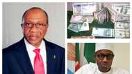 BREAKING: Naira crashes against Dollar as CBN moves to ease pressure on local currency