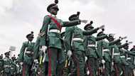 What are the benefits of military rule in Nigeria?