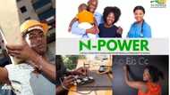 N-Power: Scheme reveals new method of catching beneficiaries in another employment
