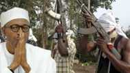 Buhari negotiation with Niger Delta militants may cause more trouble, this is why!