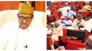 Buhari was tough with Arewa youths and pro-Biafrans, we are very happy with his speech - Senate applauds president for live broadcast