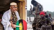 New militant group blows hot, threatens to join Biafra agitators to fight Nigeria with missiles