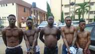 2 cultists arrested in Enugu for initiating secondary school girls for years, police gives details of their operation