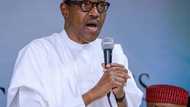 Dalilin da yasa na bayyana kudirina na sake takara kafin tafiya Ingila - Buhari