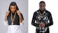 Only true facts about Wizkid's and Davido's fight