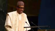 Alleged N100m Bribe: Buhari Sacks Justice, Appoints Replacement