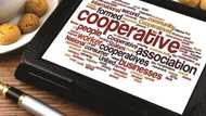 Types of cooperative society: What are they?