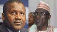 Dangote for president 2019 as PDP makes major move