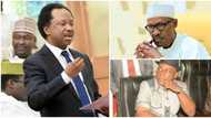 APC, PDP cannot lead Nigeria to the Promised Land - Shehu Sani calls for emergence of a new effective party
