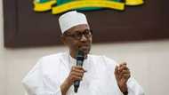 Senator Uzodinma says nothing will stop Buhari’s landslide victory in southeast