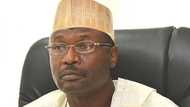 2019: INEC, southern and middle belt leaders 'fight' over alleged registering of foreigners