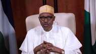 Ababe 2 da suka taka Rawar gani wajen nasara ta a Zaben 2015 - Shugaba Buhari