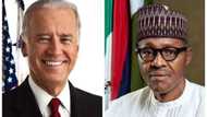 US Vice President Advises Buhari On How To Combat Boko Haram Effectively