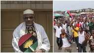 Nnamdi Kanu declared wanted for allegedly betraying Ojukwu’s Biafra struggle